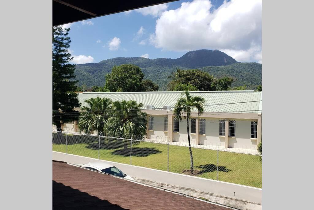 Great Location, Right Downtown Puerto Plata . Leilighet Eksteriør bilde